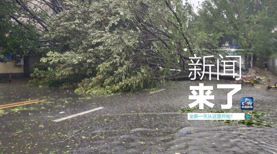 “山竹”怒過，高空塔吊你還好嗎？